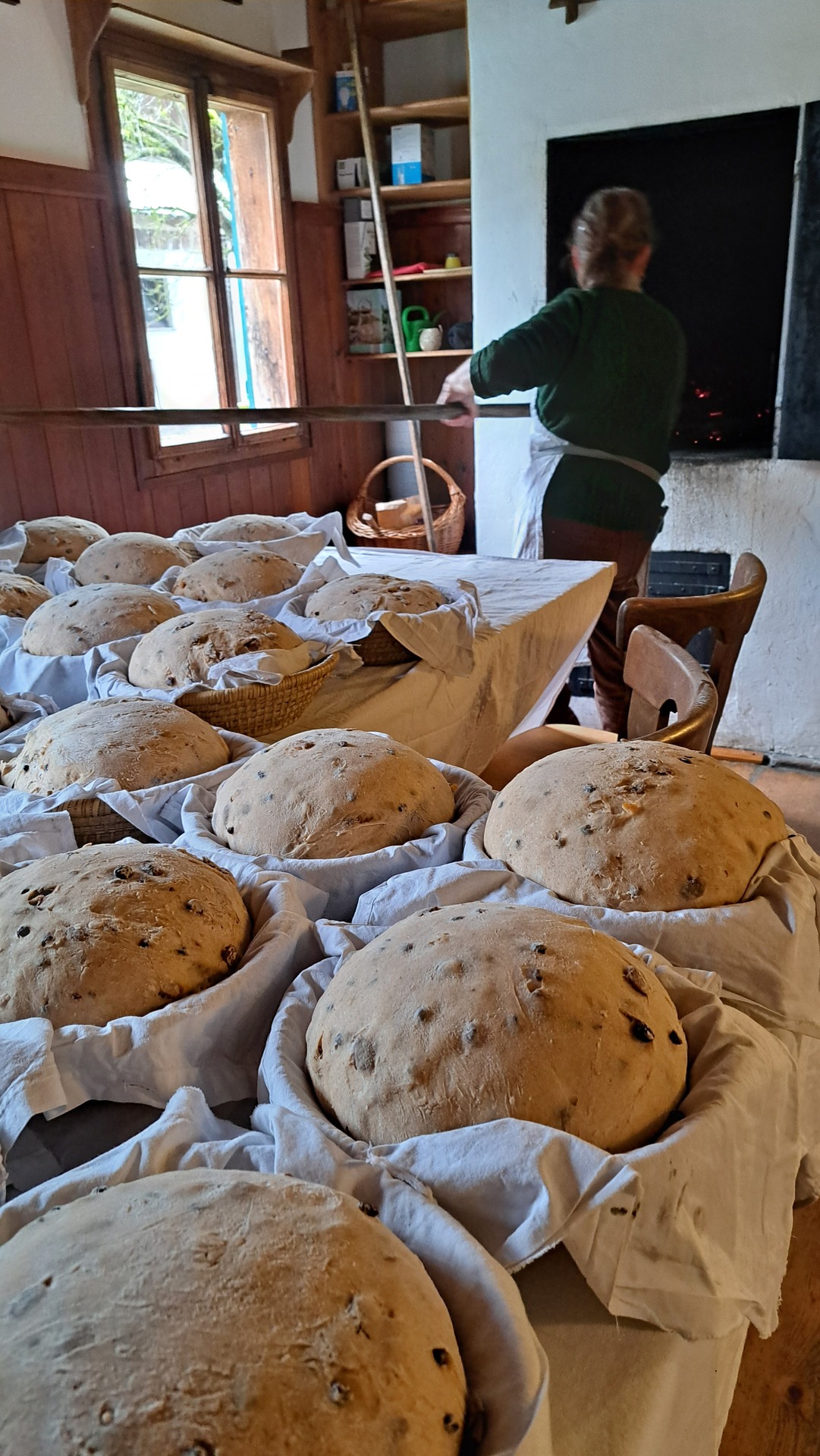 Brot_Steinegger
