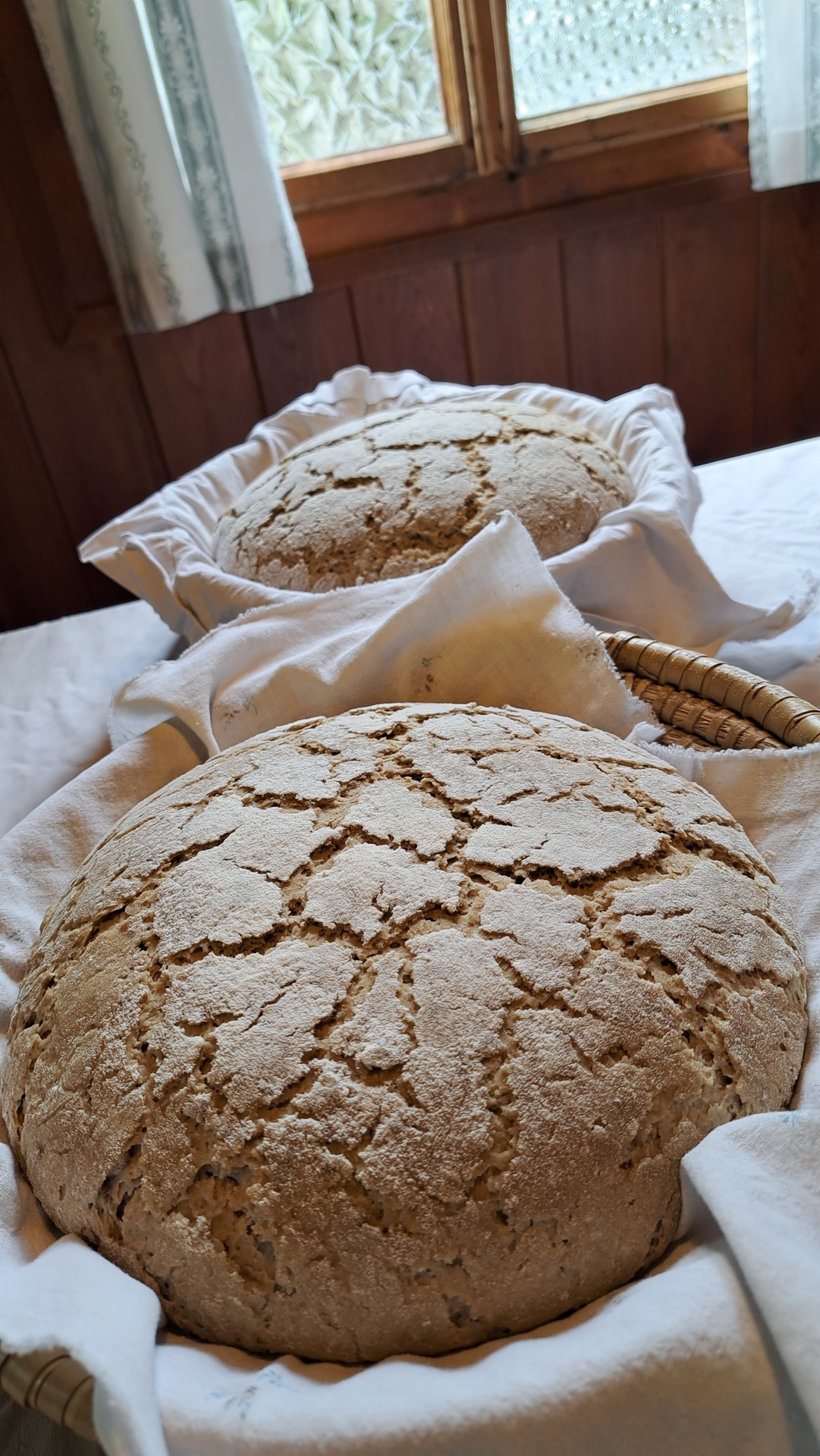 Brot_2_Steinegger